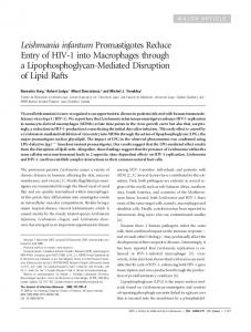 Leishmania infantum Promastigotes Reduce Entry of HIV-1 into ...