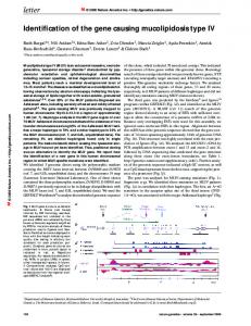 letter - Weizmann Institute of Science