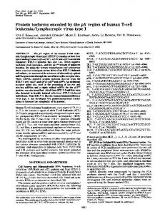 leukemia/lymphotropic virus type I