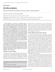 Life after proteolysis