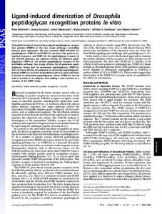 Ligand-induced dimerization of Drosophila ... - Semantic Scholar