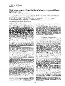 light-chain gene - Europe PMC