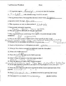 Light Reactions Worksheet Name