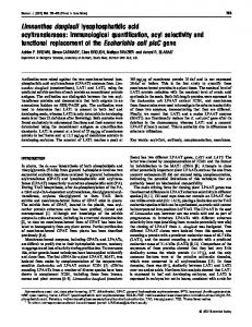 Limnanthes douglasii lysophosphatidic acid acyltransferases - NCBI