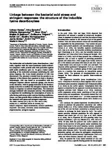 Linkage between the bacterial acid stress and ... - Wiley Online Library