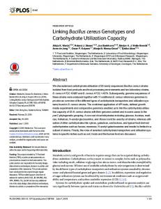 Linking Bacillus cereus Genotypes and