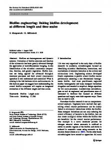 linking biofilm development at different length and time scales - Core