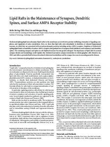 Lipid Rafts in the Maintenance of Synapses