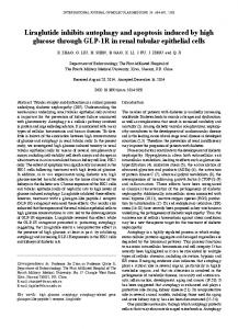 Liraglutide inhibits autophagy and apoptosis induced by high glucose ...