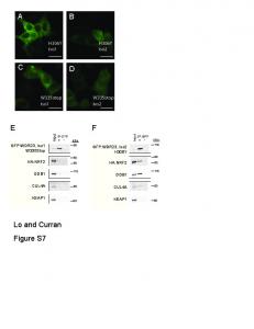 Lo and Curran Figure S7 ABCDEF - PLOS