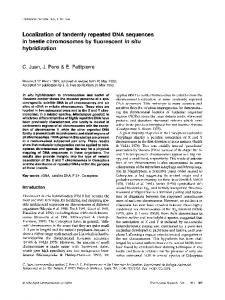 Localization of tandemly repeated DNA sequences in ... - Springer Link