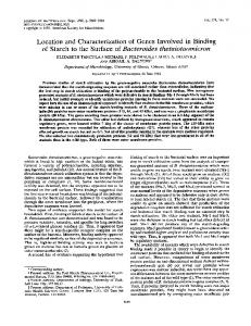 Location and Characterization of Genes Involved in Binding of Starch ...