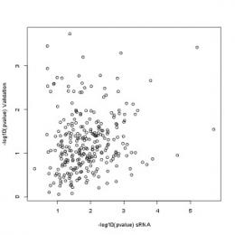 log10(pvalue) sRNA -log10(pvalue) Validation - PLOS