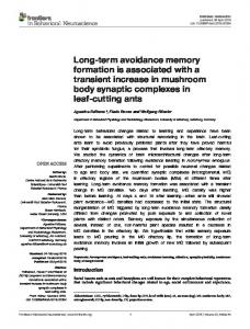 Long-term avoidance memory formation is associated with a transient ...