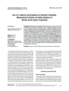 Loss of E-cadherin and Acquisition of Vimentin in