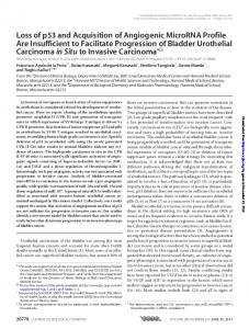 Loss of p53 and Acquisition of Angiogenic MicroRNA ...