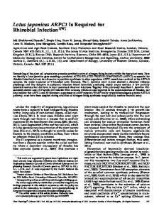 Lotus japonicus ARPC1 Is Required for Rhizobial ... - Plant Physiology