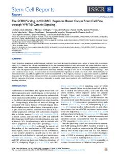 LRRC1 Regulates Breast ... - Cell Press