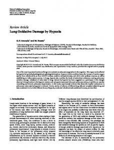 Lung Oxidative Damage by Hypoxia