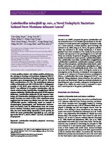 Lysinibacillus tabacifolii sp. nov., a Novel Endophytic ... - Springer Link