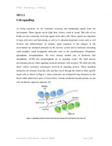 M5 L1 Cell signalling