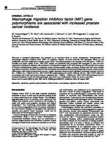 Macrophage migration inhibitory factor (MIF) gene ... - Nature