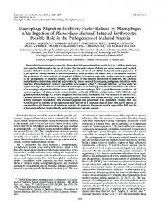 Macrophage Migration Inhibitory Factor Release by Macrophages