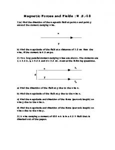 Magnetic Forces and Fields : W.S.-18