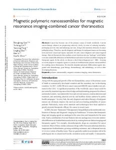 Magnetic polymeric nanoassemblies for magnetic ...