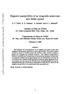 Magnetic susceptibility of an integrable anisotropic spin ladder system