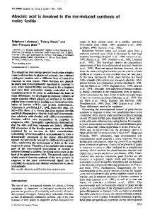 maize ferritin - NCBI - NIH