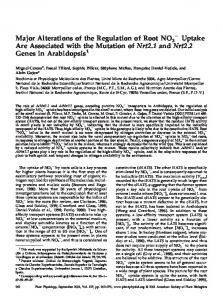 Major Alterations of the Regulation of Root NO3 ... - Plant Physiology