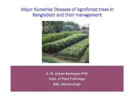 major diseases of forest nurseries and plantation in ...