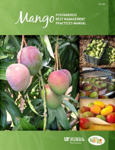 Mango Postharvest Best Management Practices Manual