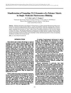 Manifestation of Tunneling TLS Dynamics of a Polymer ... - Springer Link