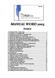 manual es Word 2003