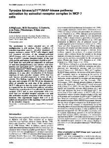 MAP-kinase pathway - Europe PMC