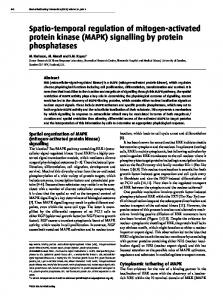 MAPK - Biochemical Society Transactions