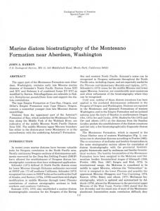 Marine diatom biostratigraphy of the Montesano ...