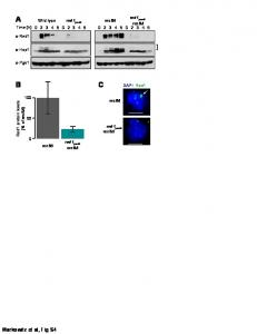 Markowitz et al, Fig S4 - PLOS