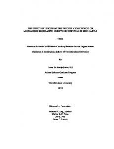 Master Dissertation - OhioLINK ETD