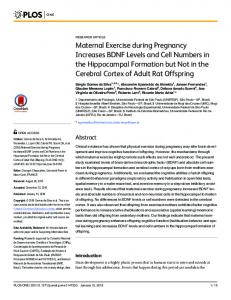 Maternal Exercise during Pregnancy Increases ... - Semantic Scholar