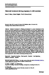 Maternal investment during pregnancy in wild meerkats - Springer Link