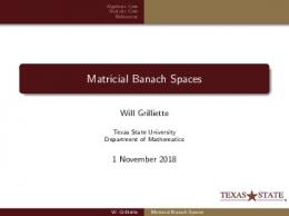 Matricial Banach Spaces