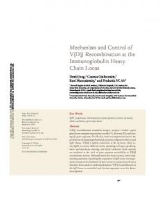 mechanism and control of v(d)j recombination at