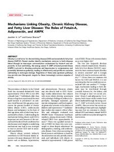 Mechanisms Linking Obesity, Chronic Kidney ... - Semantic Scholar