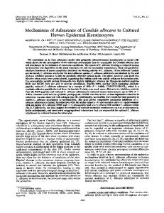 Mechanisms of adherence of Candida albicans to cultured human ...