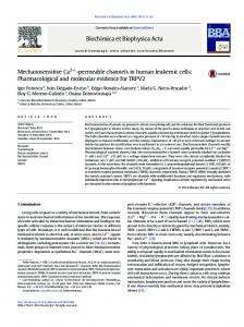 Mechanosensitive Ca2+-permeable channels in human ... - Core