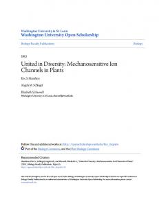 Mechanosensitive Ion Channels in Plants - Semantic Scholar