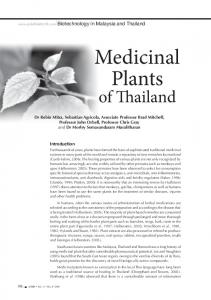 Medicinal Plants of Thailand